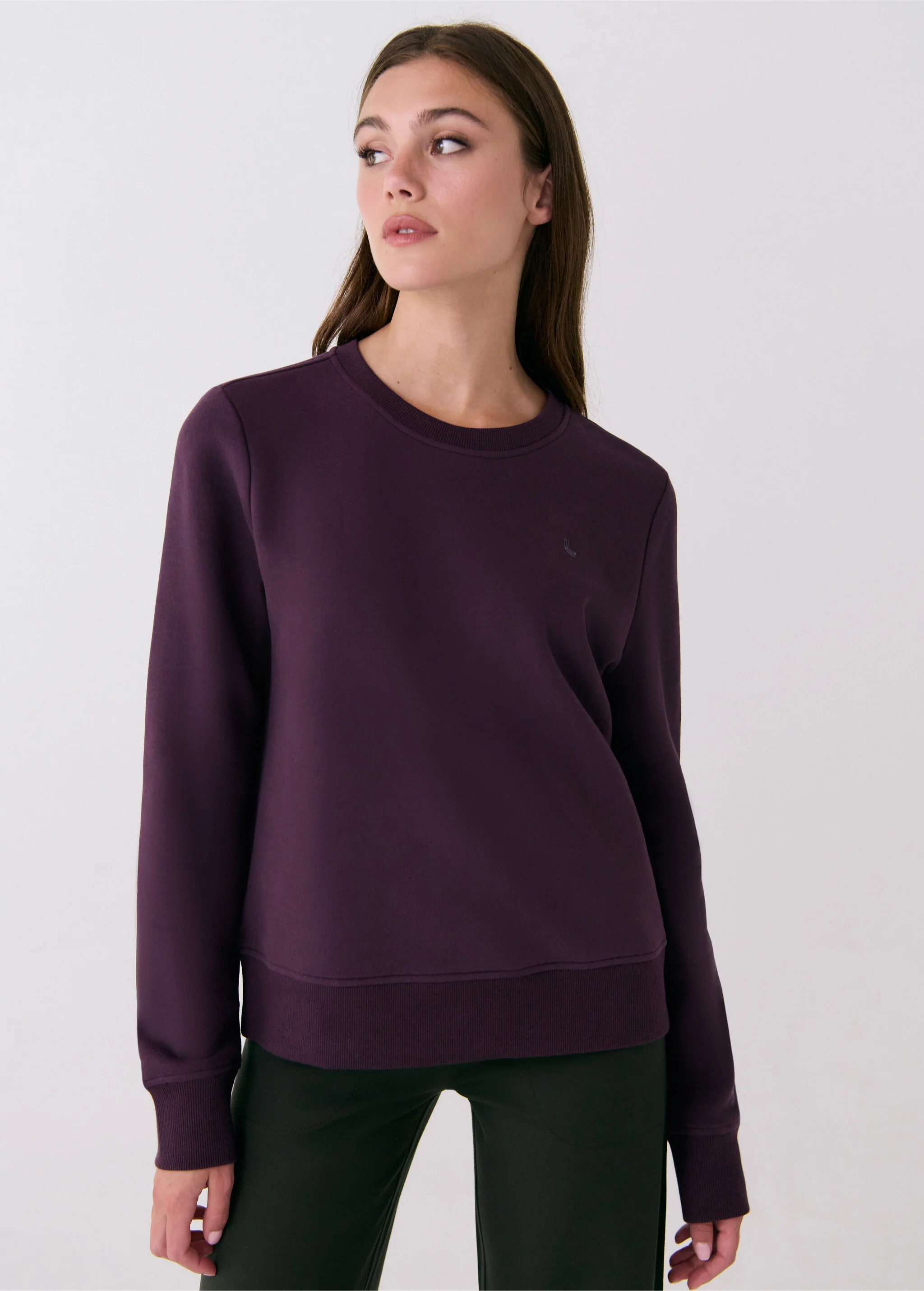 Icon Crew Neck Pullover - Image 7